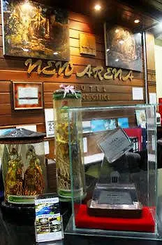 Hotel New Arena Beach Resort Kuta